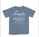 Back mockup of Tougaloo Eagles Fly in Flocks T-shirt